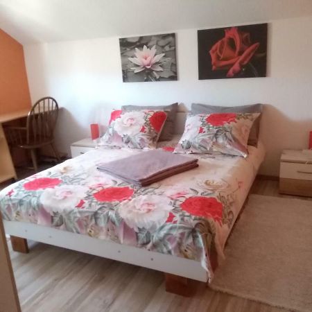 Apartman Franjicic 科雷尼察 外观 照片
