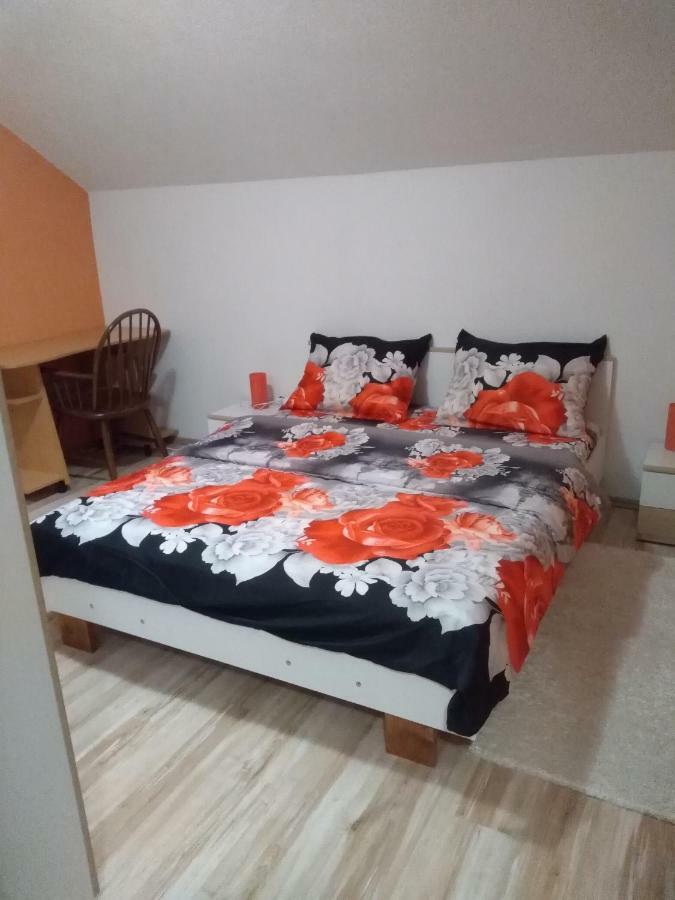 Apartman Franjicic 科雷尼察 外观 照片
