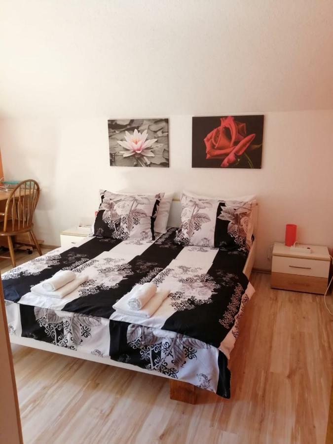 Apartman Franjicic 科雷尼察 外观 照片